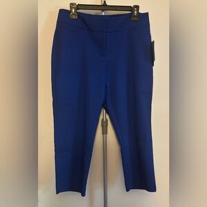 Apt 9 Mid Rise Blue Capris Size 10